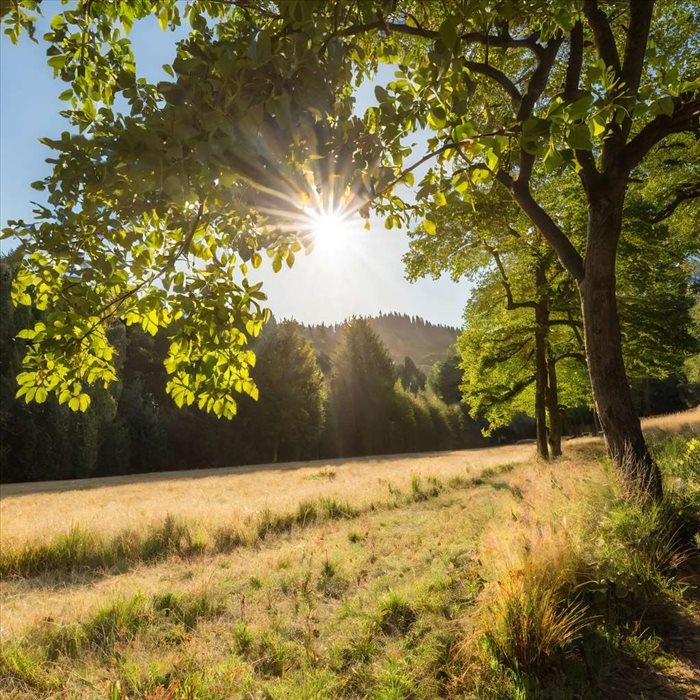Baldr : Le Dieu de la Lumière et Son Symbolisme